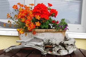 Blumenarrangement vor dem Appartement II